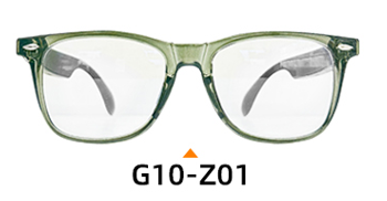 G10 Z01