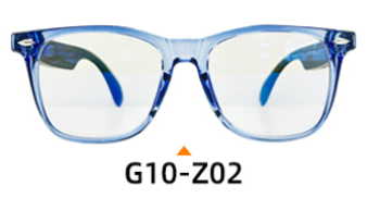 G10 Z02