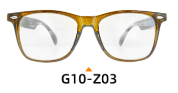 G10 Z03
