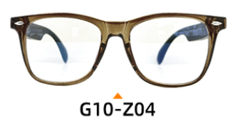 G10 Z04